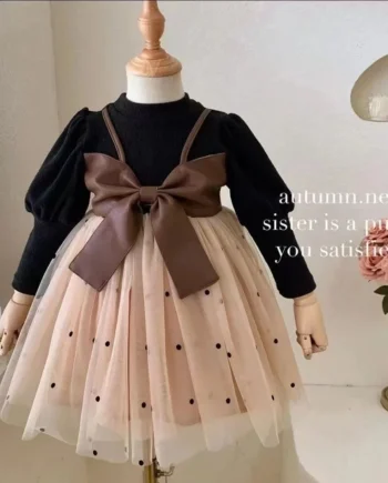 Children's Spring Autumn Long sleeves Dress Baby Girl Big Bow Tulle Fashion Dress fit 0-3 Year Baby Girl Birthday Party Dress